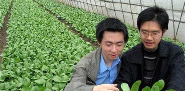 当今中国农村，到底是啥模样？