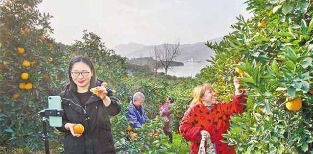 当今中国农村，到底是啥模样？