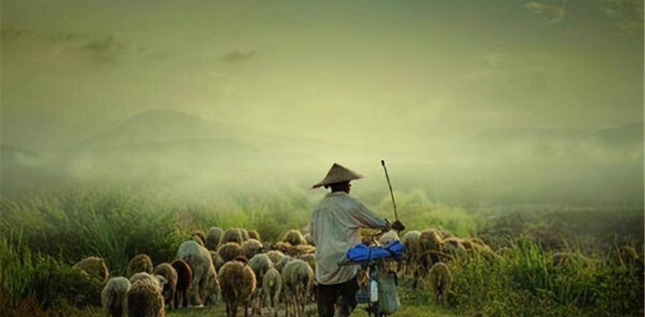 当今中国农村，到底是啥模样？