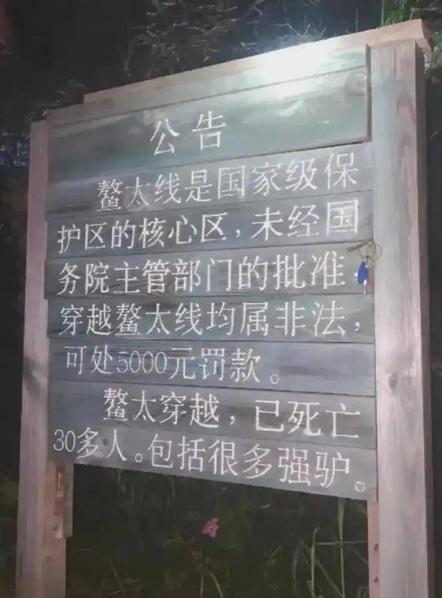 鳌太线发现尸体的博主或被罚款5000元，本人回应：认罚并道歉