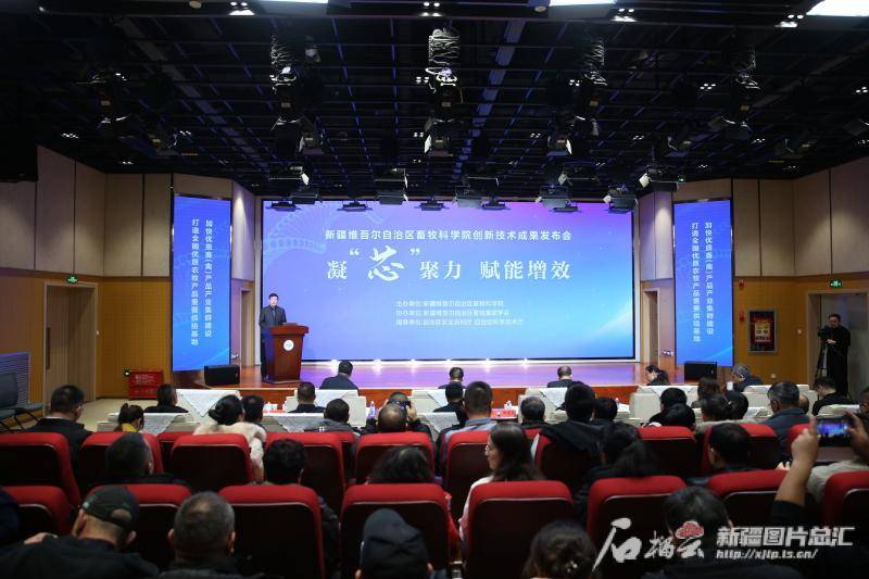 新疆为草食家畜“换发二代身份证”
