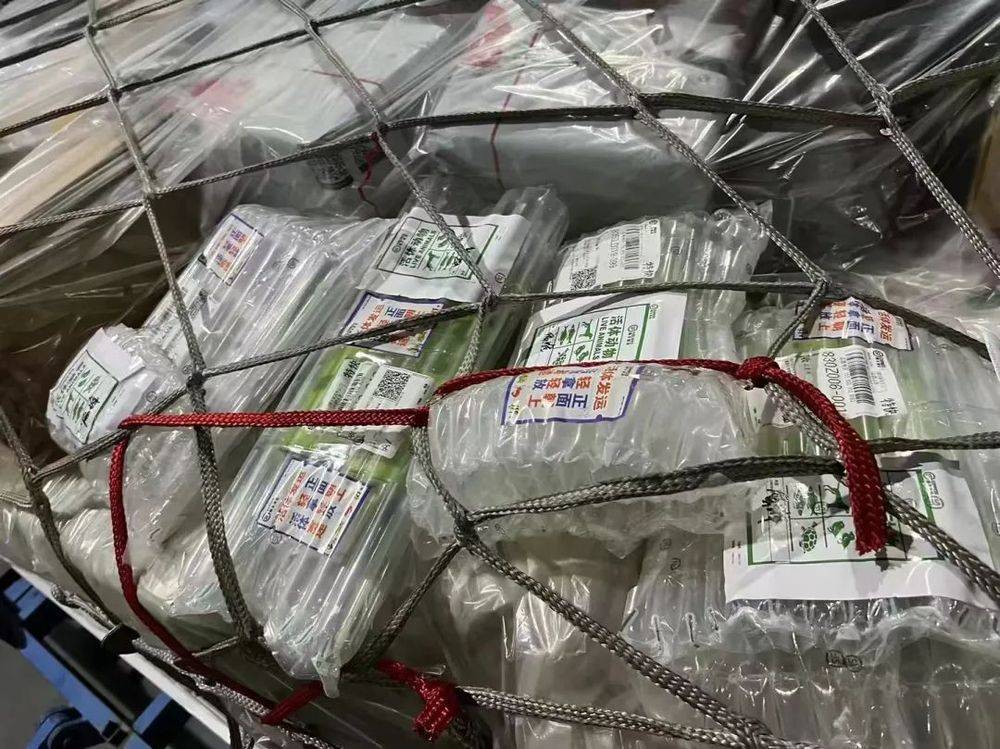 吉林省首次！长春龙嘉机场运送大批特殊“乘客”！
