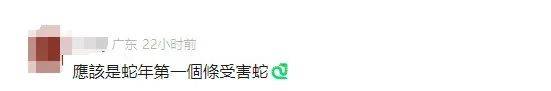 南京海关查获一罐生腌响尾蛇，网友懵了：生腌什么？