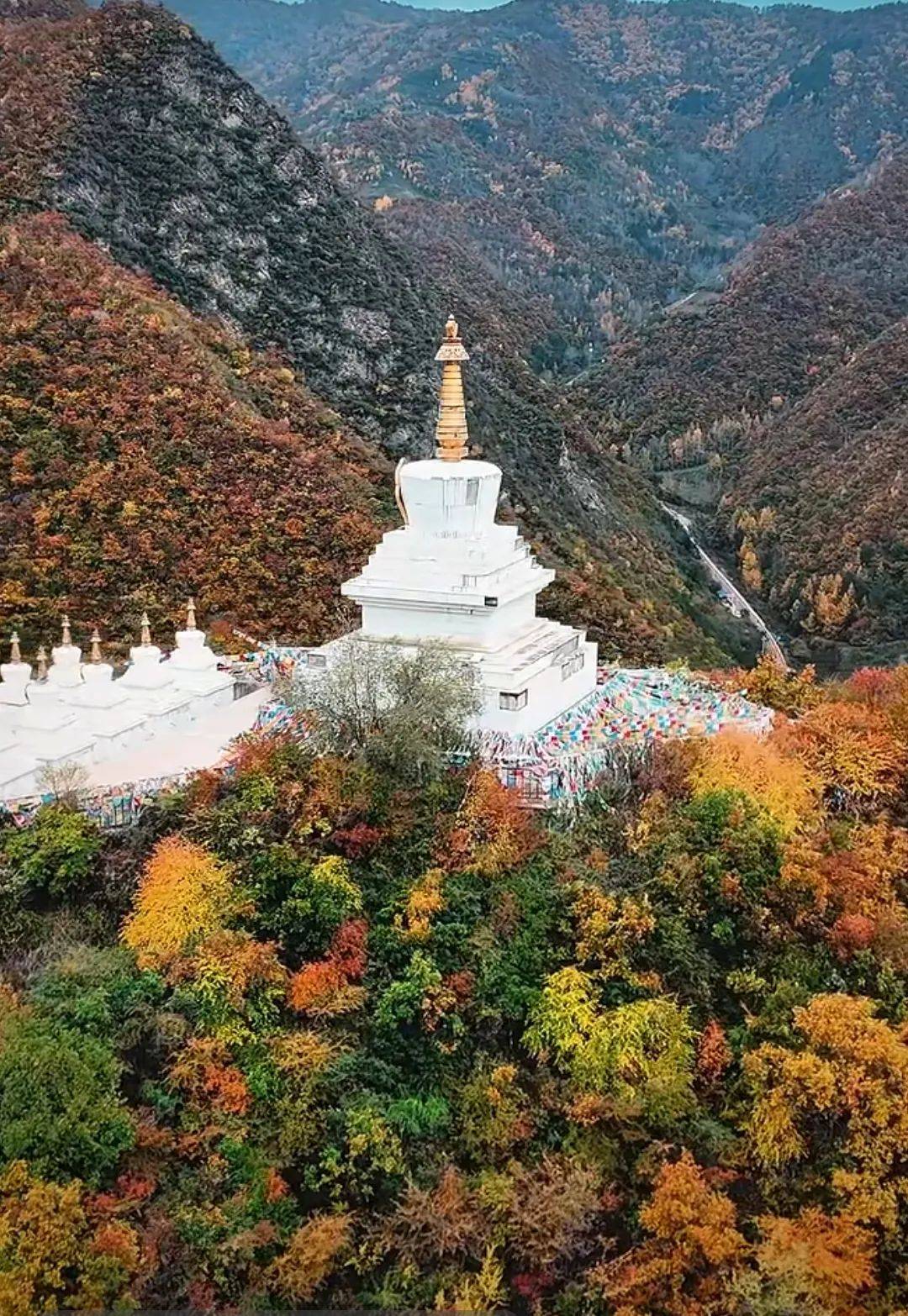 新建4个！兰州市将在南北两山建设十大城市森林公园