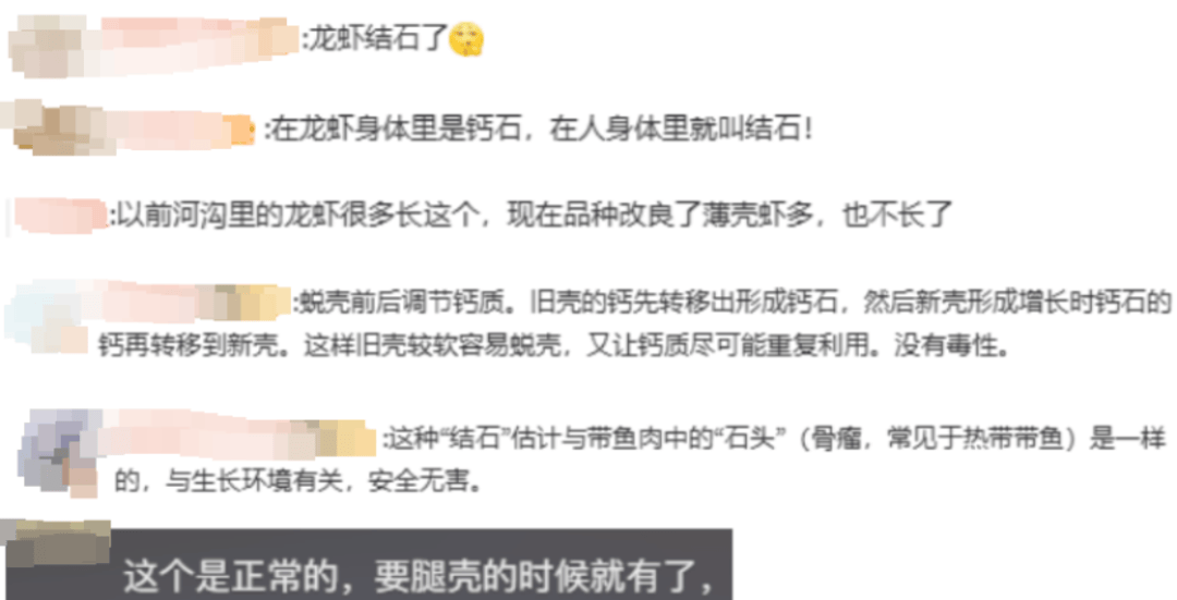 女子吃小龙虾竟剥出多颗珠子，网友：这是长结石了吧丨有话聊