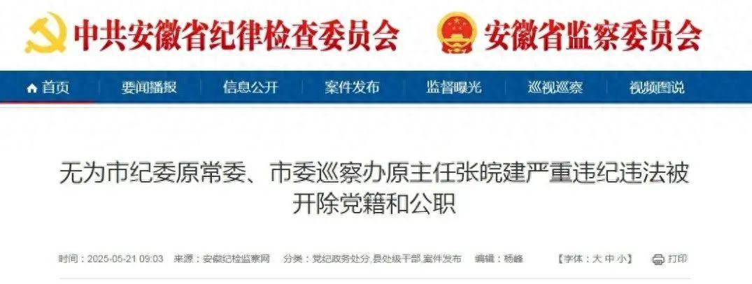 严重违纪违法，安徽3名干部被“双开”
