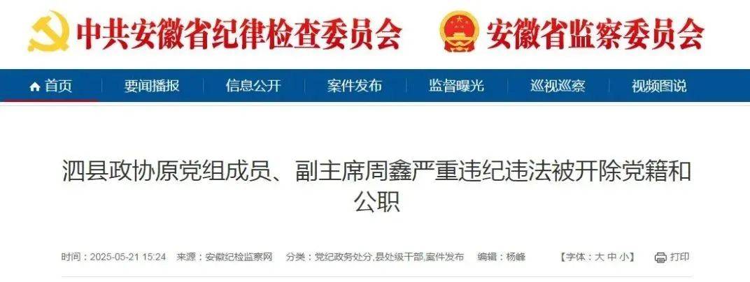 严重违纪违法，安徽3名干部被“双开”