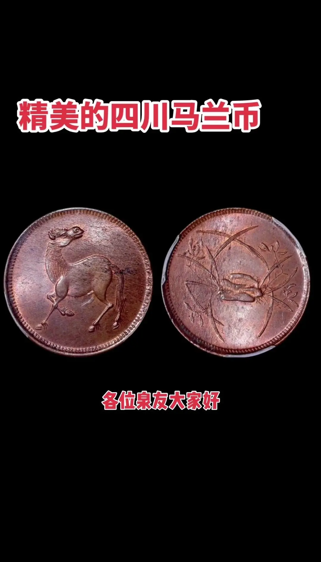 马兰币(马兰币价格) 马兰币(马兰币价格)