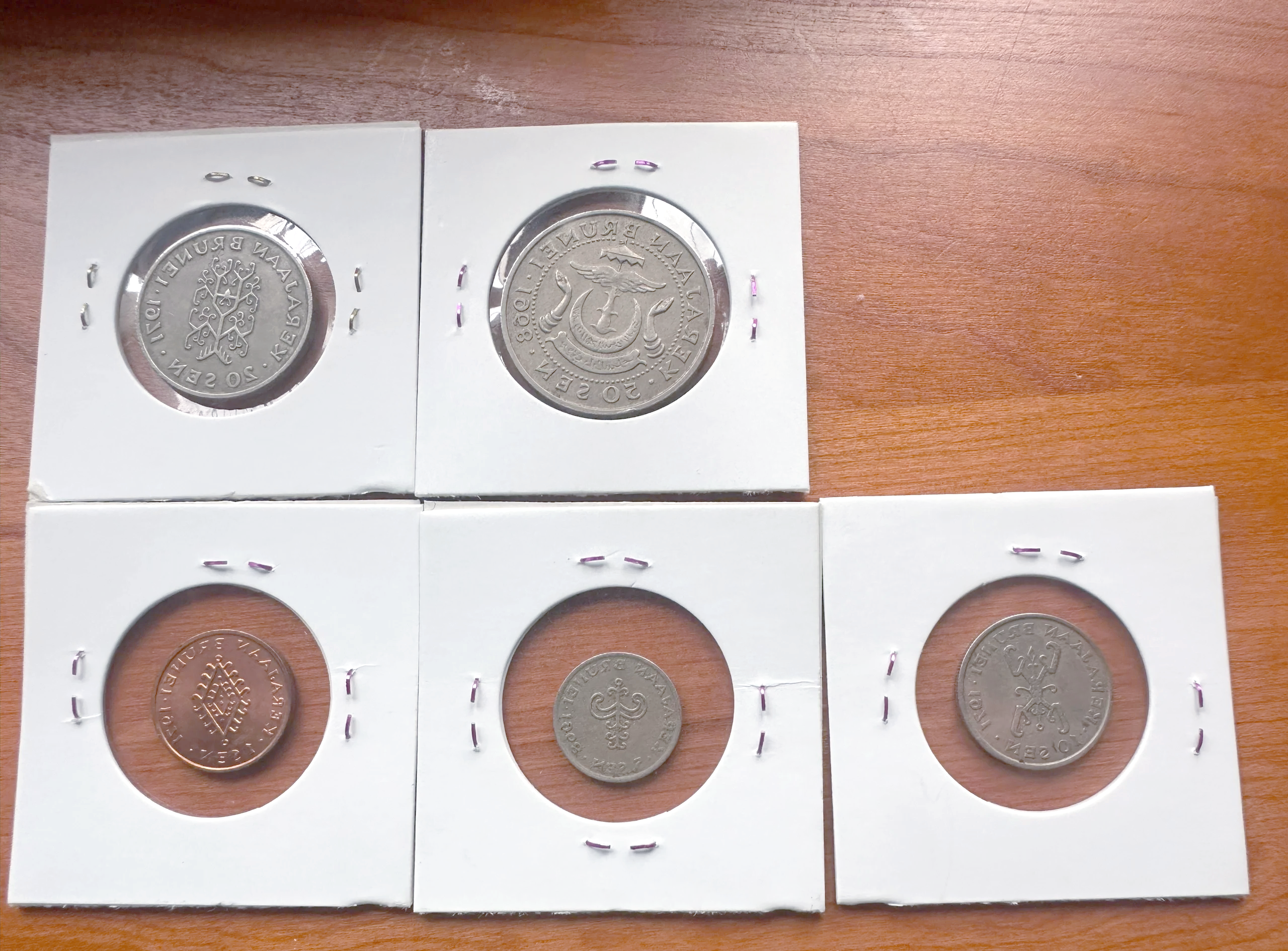 名朋圈币(名朋刷圈币网址)