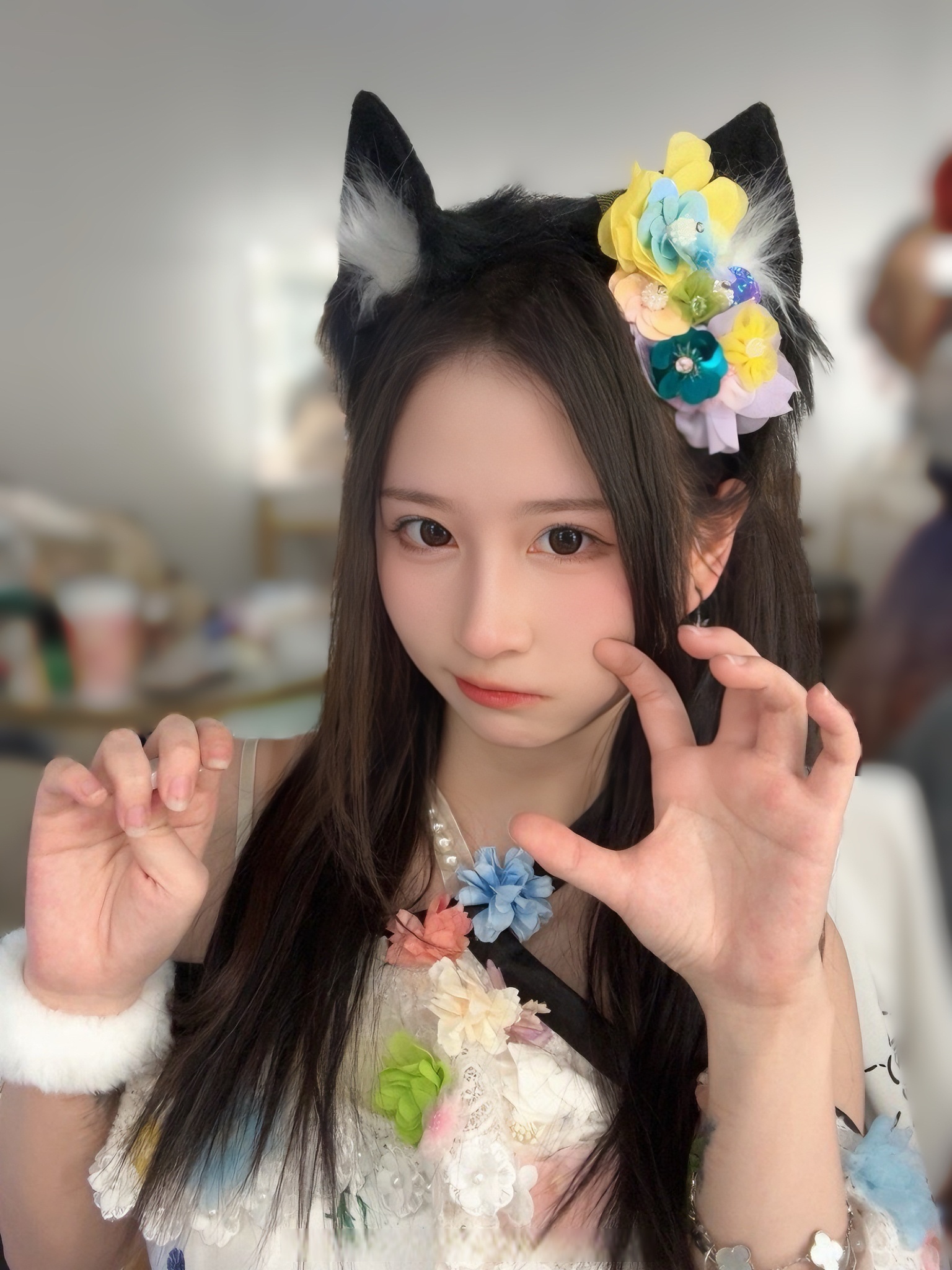 喵喵币(喵喵币是什么东西)