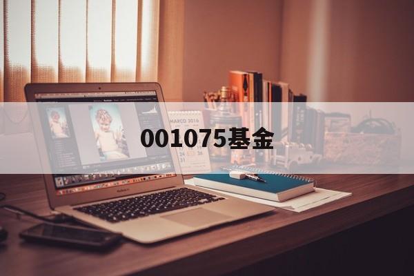 001075基金(001075基金东方财富)