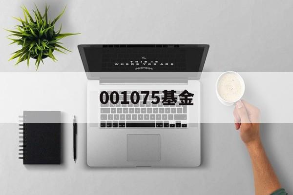 001075基金(001075基金持仓档案)